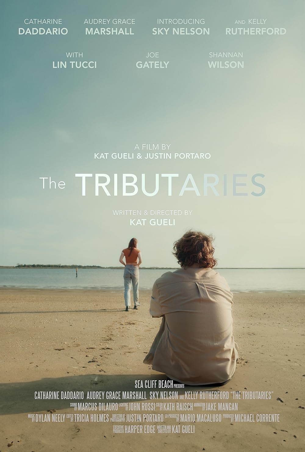 Poster de THE TRIBUTARIES