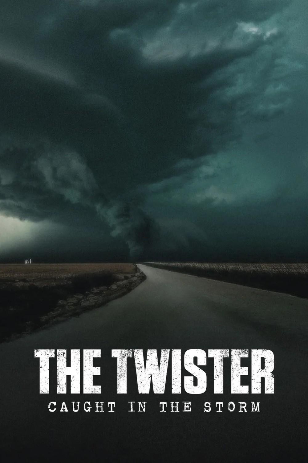 Poster de THE TWISTER: CAUGHT IN THE STORM en inglés