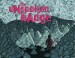 The Unspoken Badge