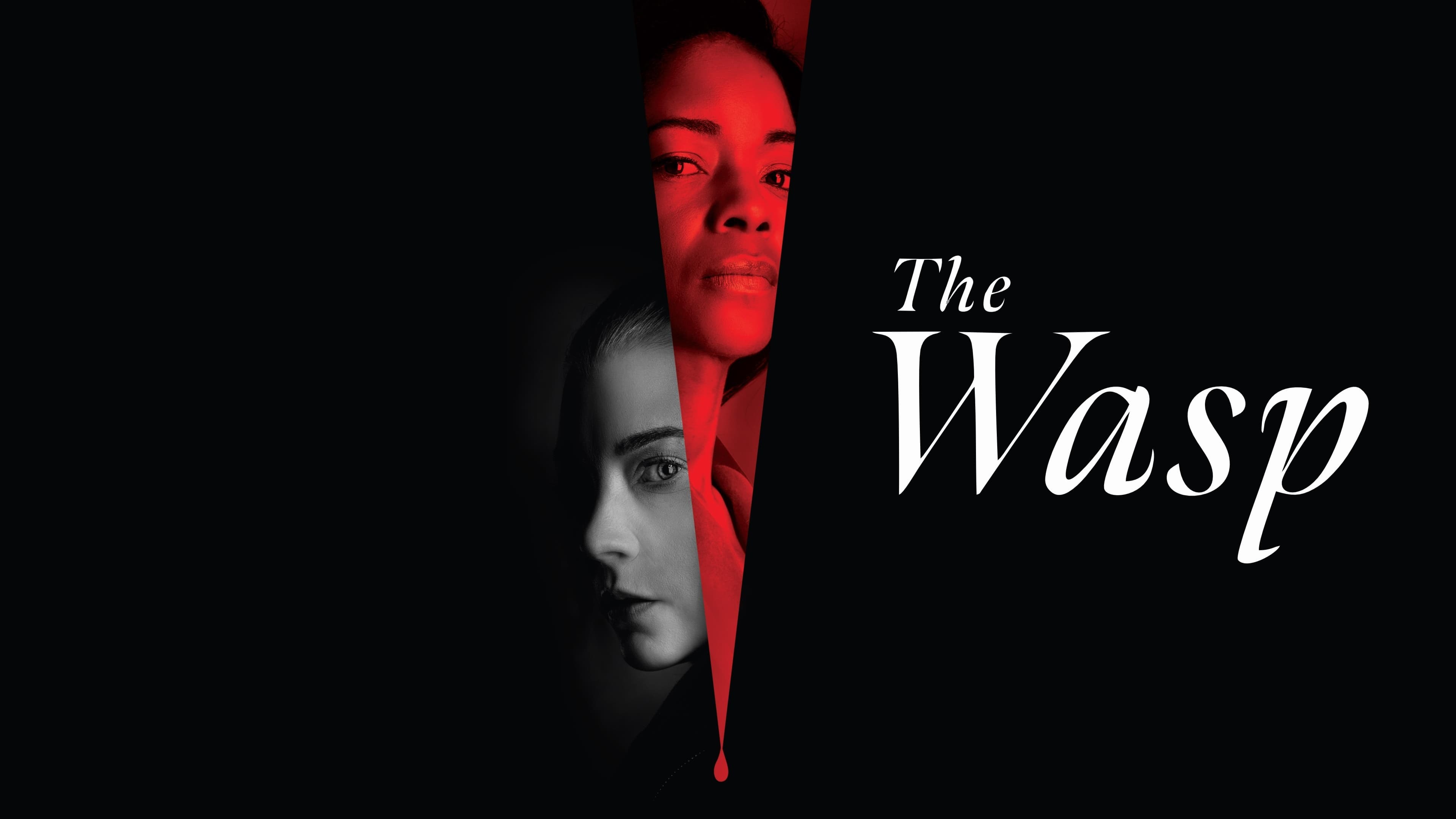 Foto de THE WASP