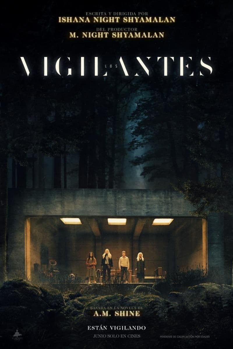 Poster de LOS VIGILANTES en español