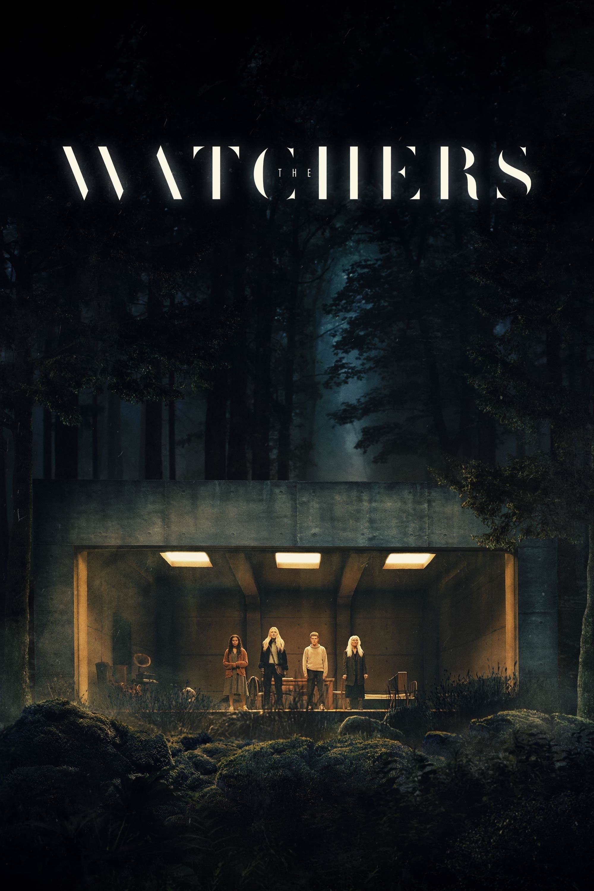 Poster de LOS VIGILANTES para 