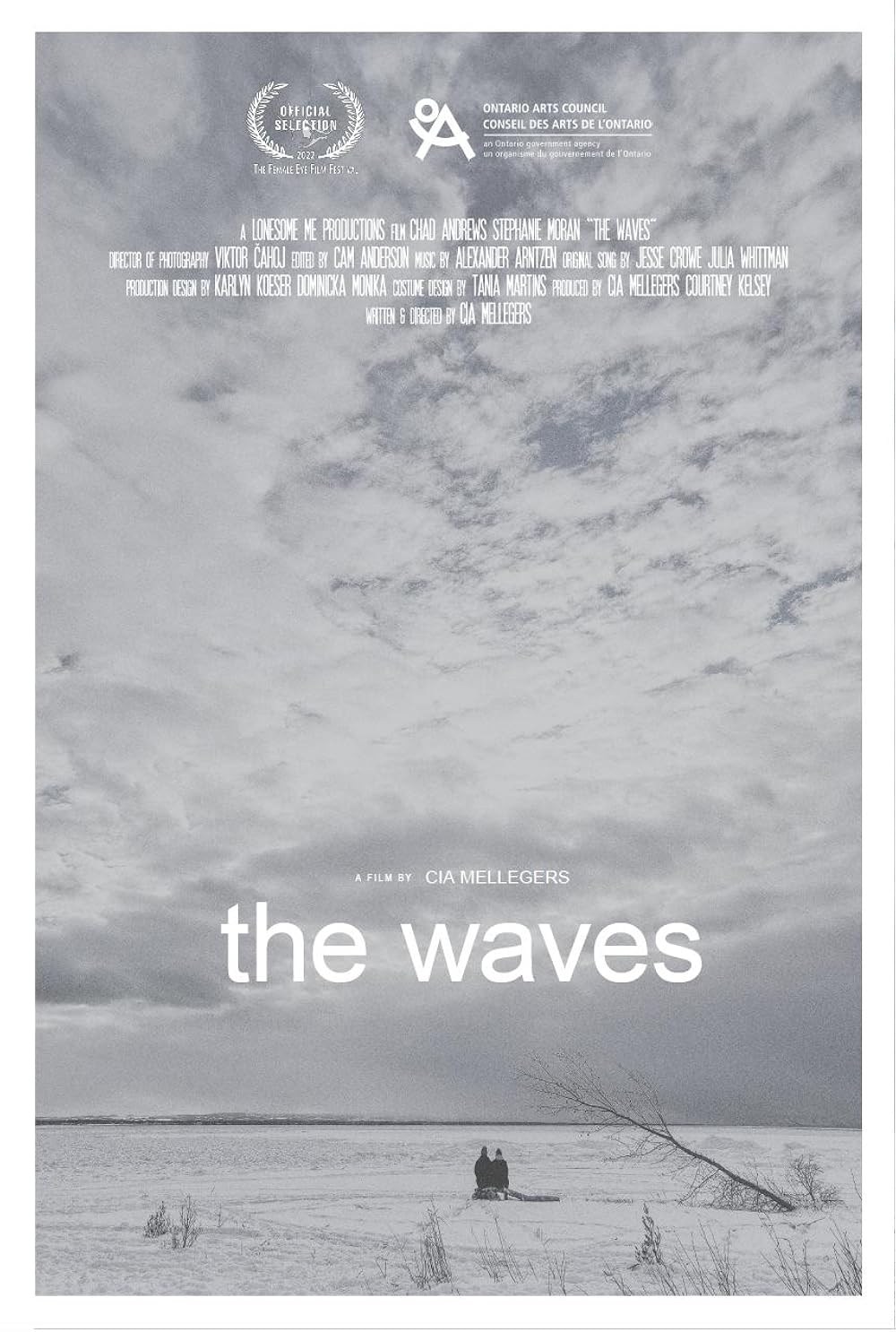 Poster de THE WAVES