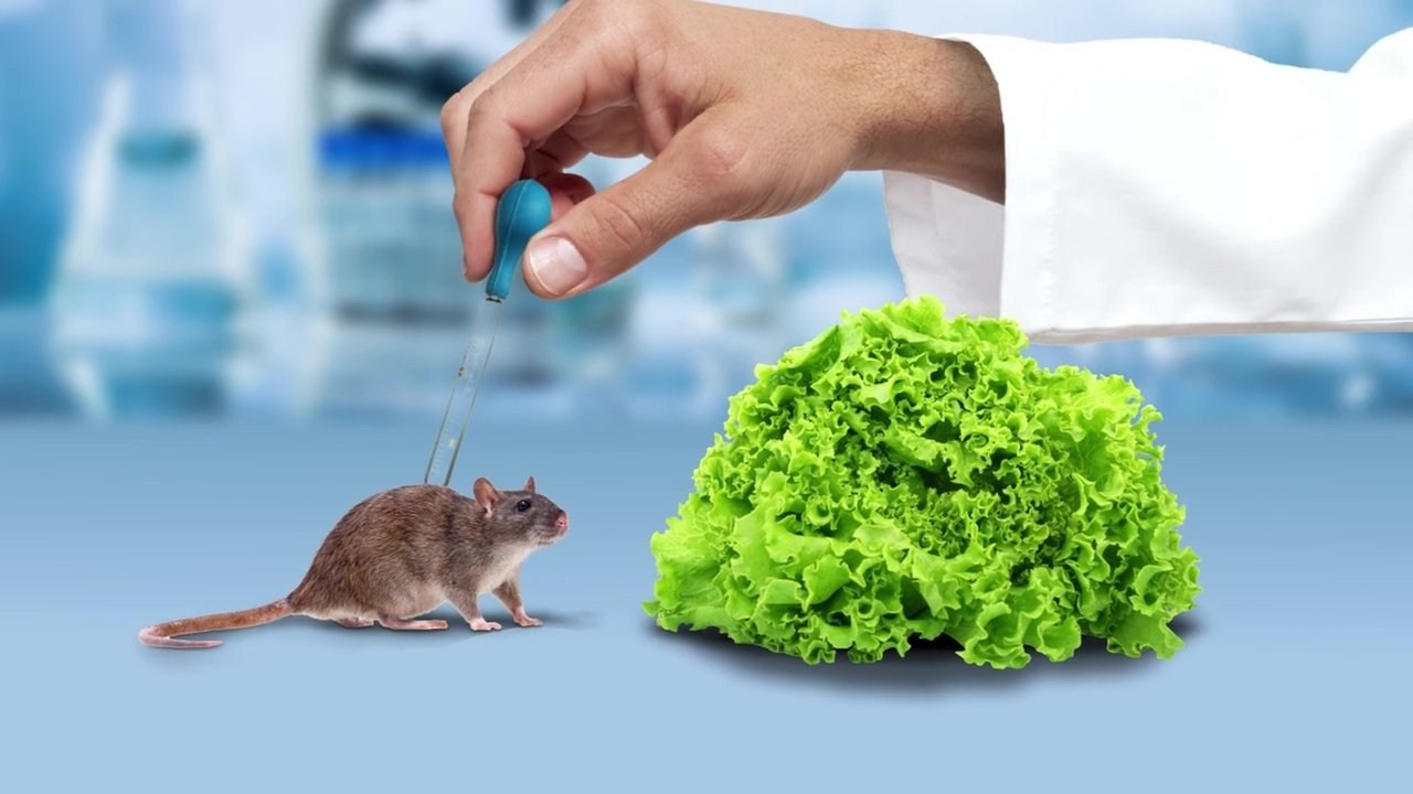 Foto de THE WEIGHT OF CHAINS 3