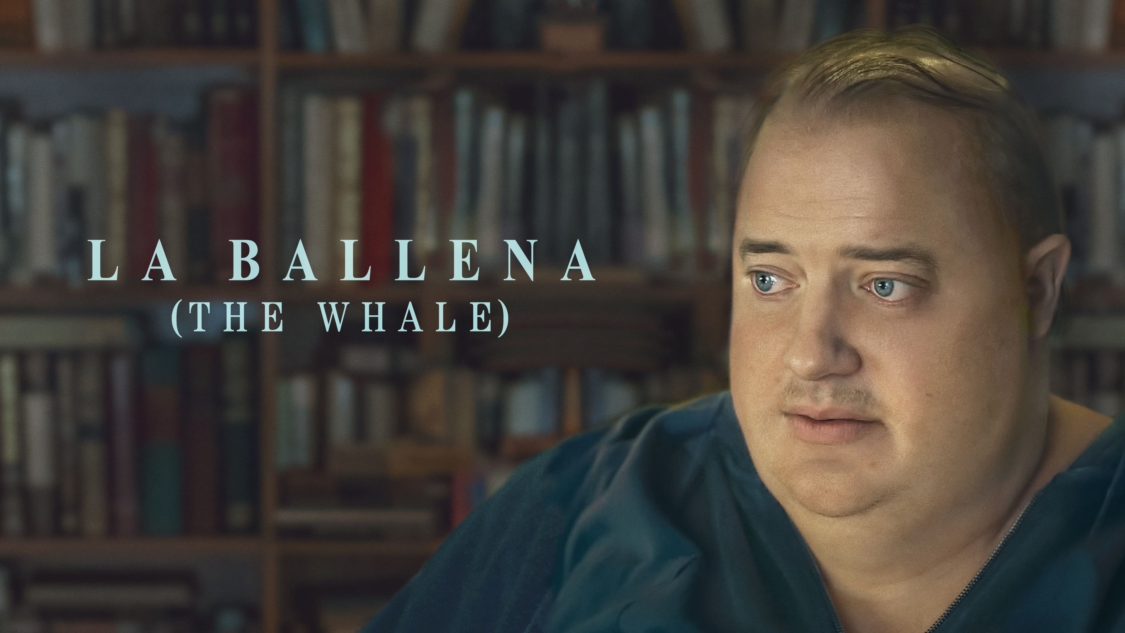 Foto de LA BALLENA (THE WHALE)