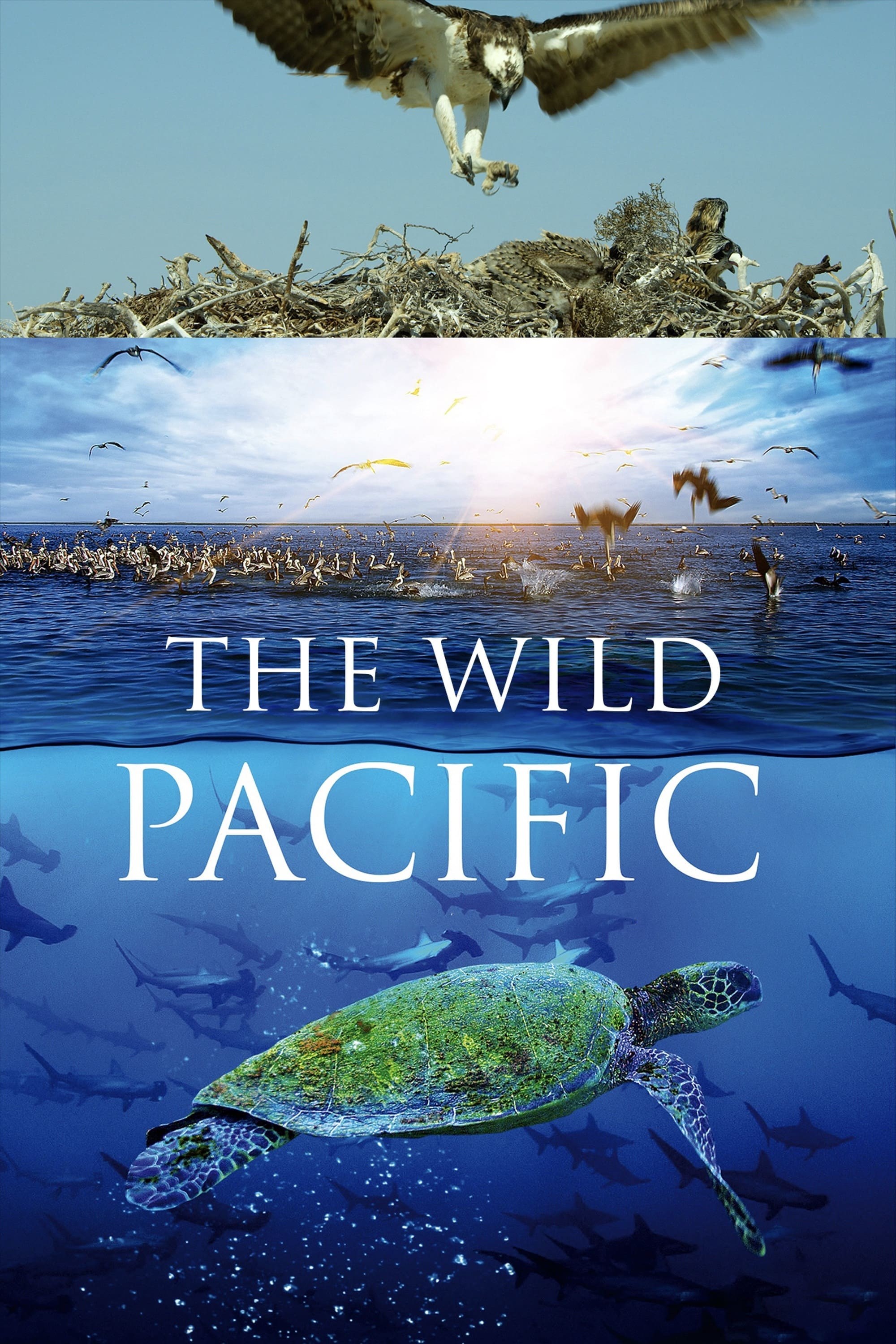 Poster de THE WILD PACIFIC