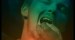 The Wisdom Tooth
