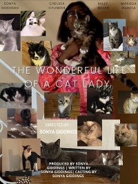 The Wonderful Life of a cat Lady