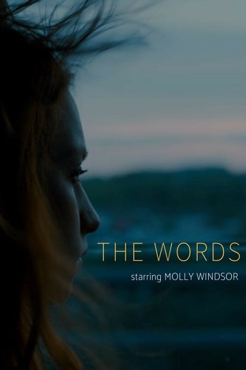 Poster de THE WORDS
