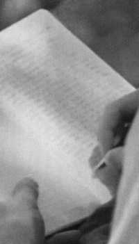 The Writer