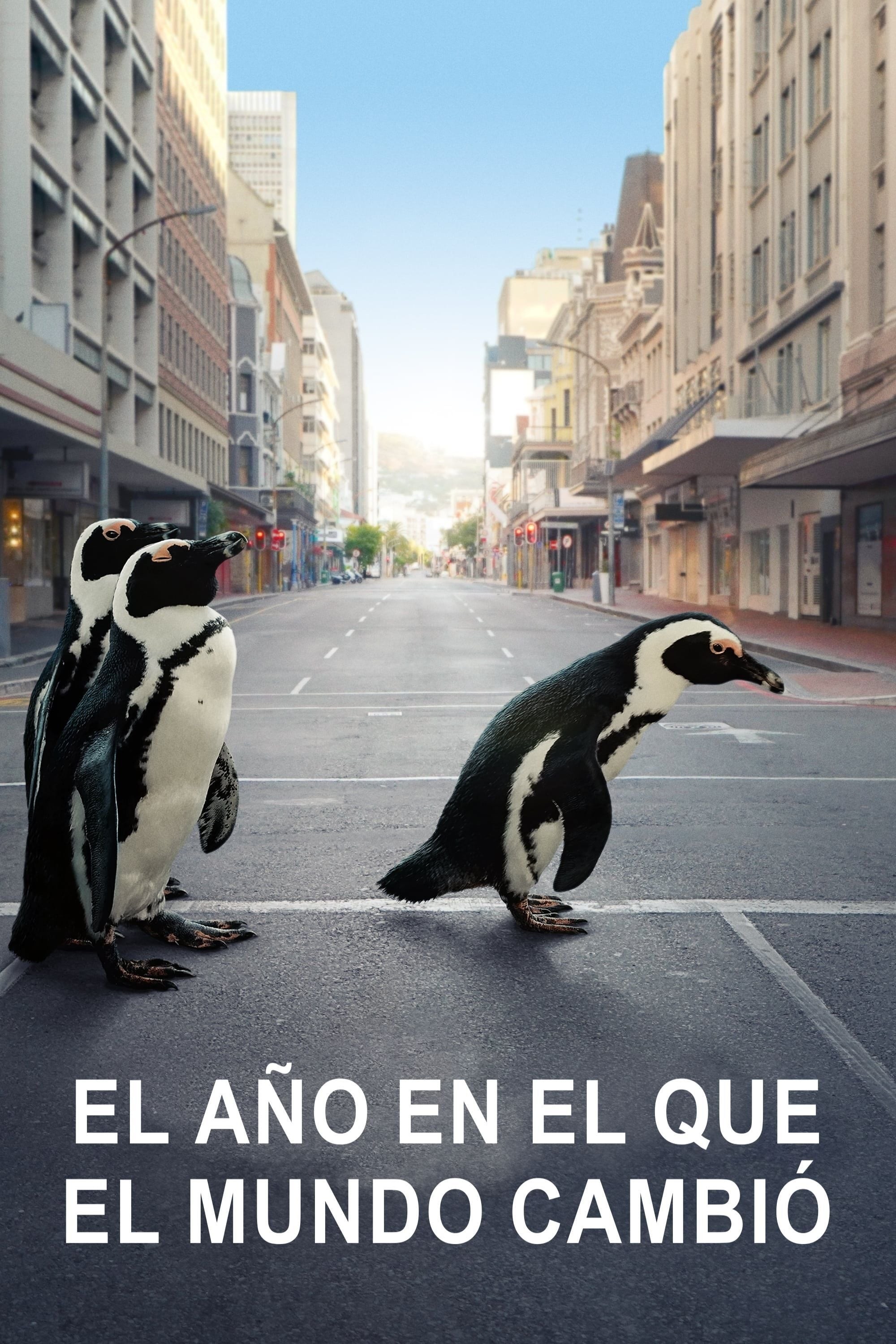 Poster de THE YEAR EARTH CHANGED en español