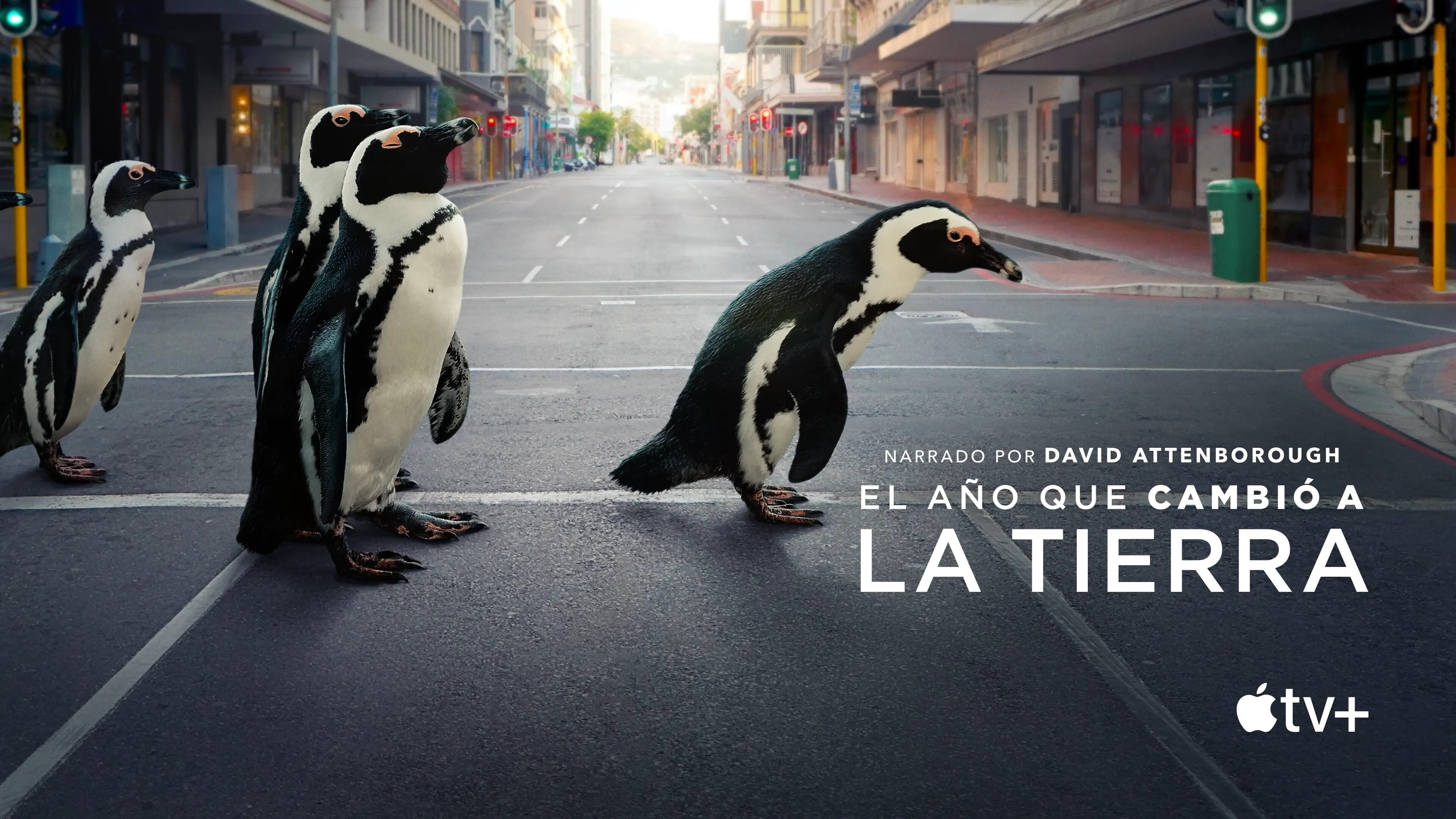 Foto de THE YEAR EARTH CHANGED