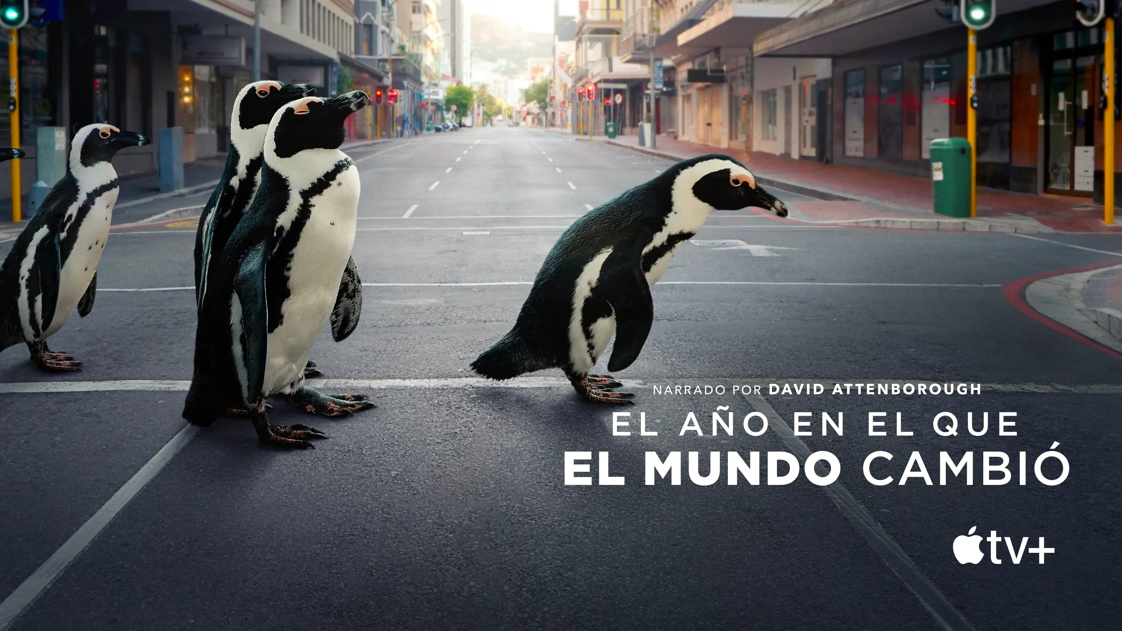 Foto de THE YEAR EARTH CHANGED