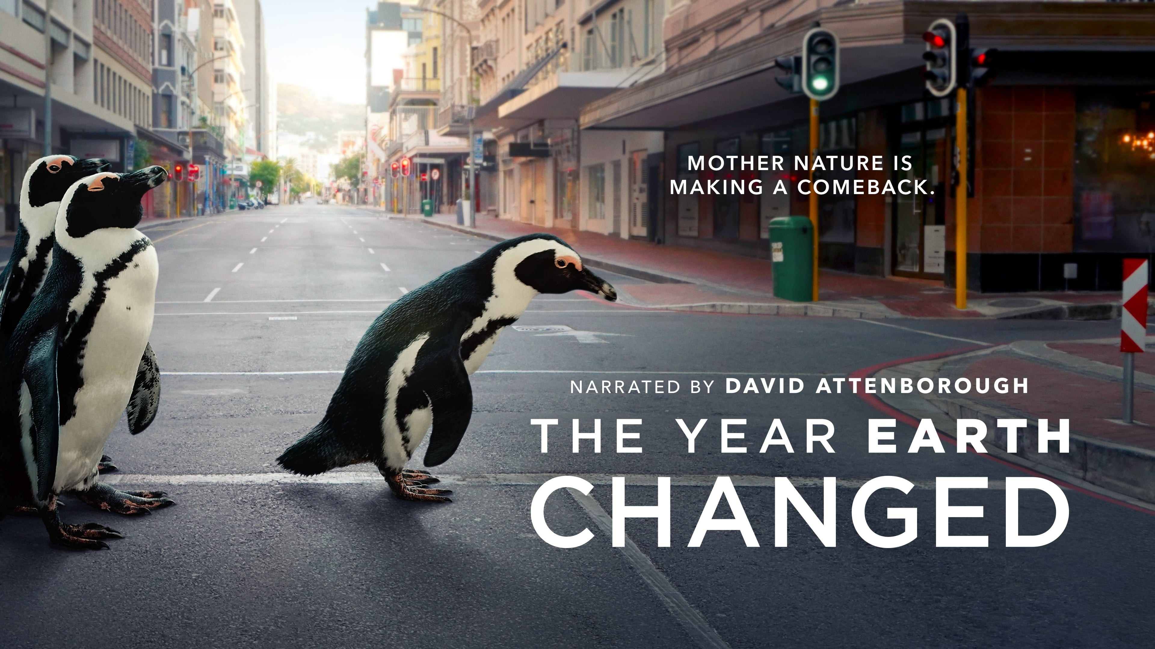 Foto de THE YEAR EARTH CHANGED