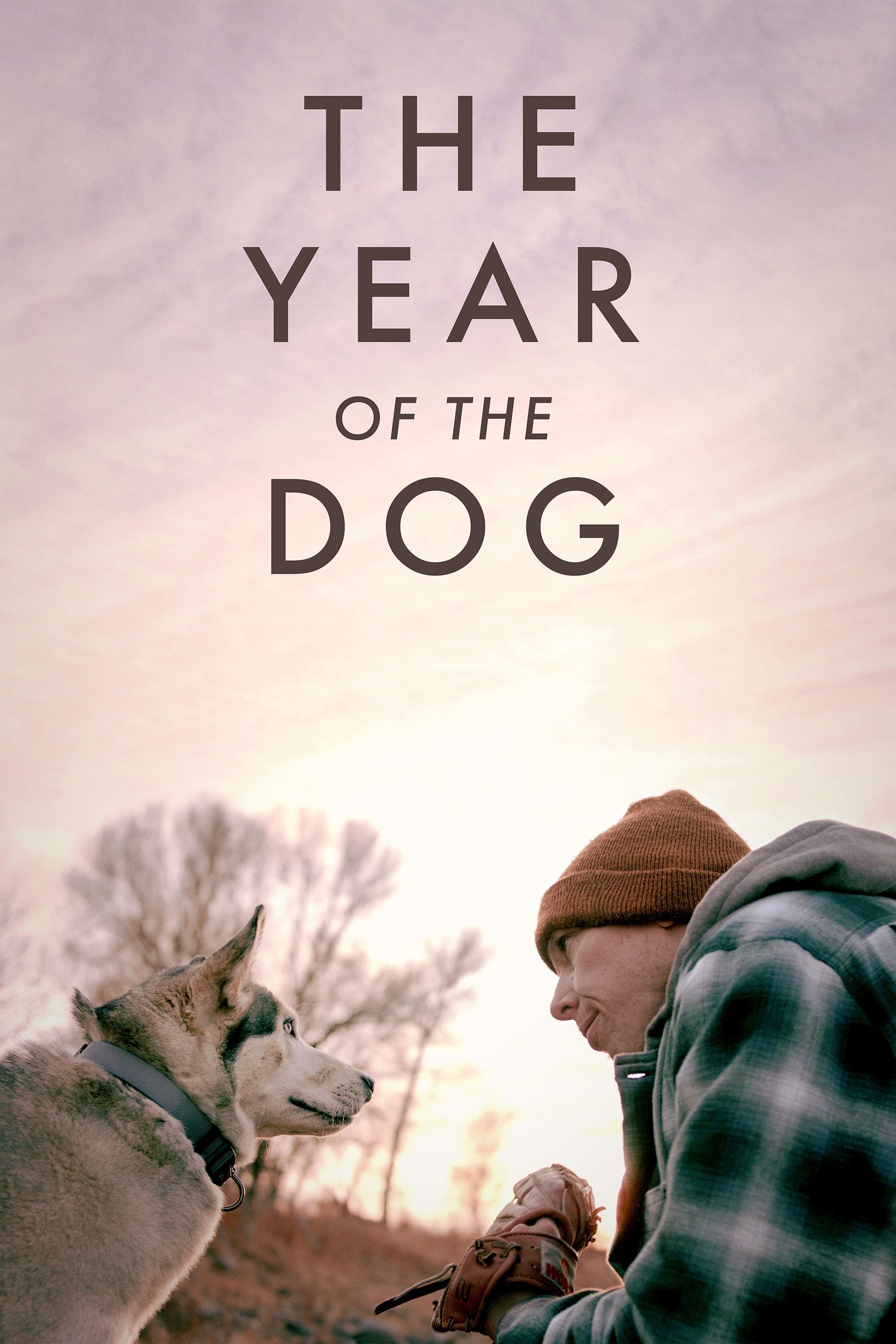 Poster de THE YEAR OF THE DOG en inglés