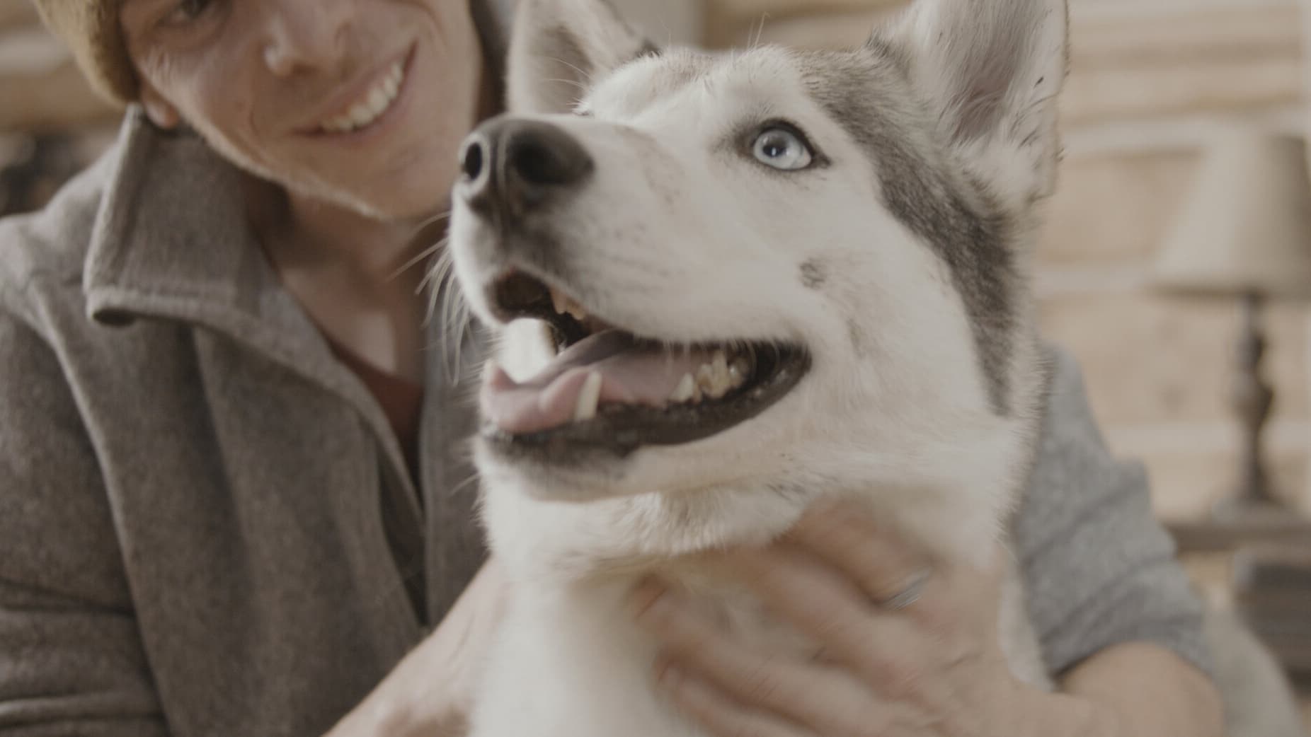 Foto de THE YEAR OF THE DOG