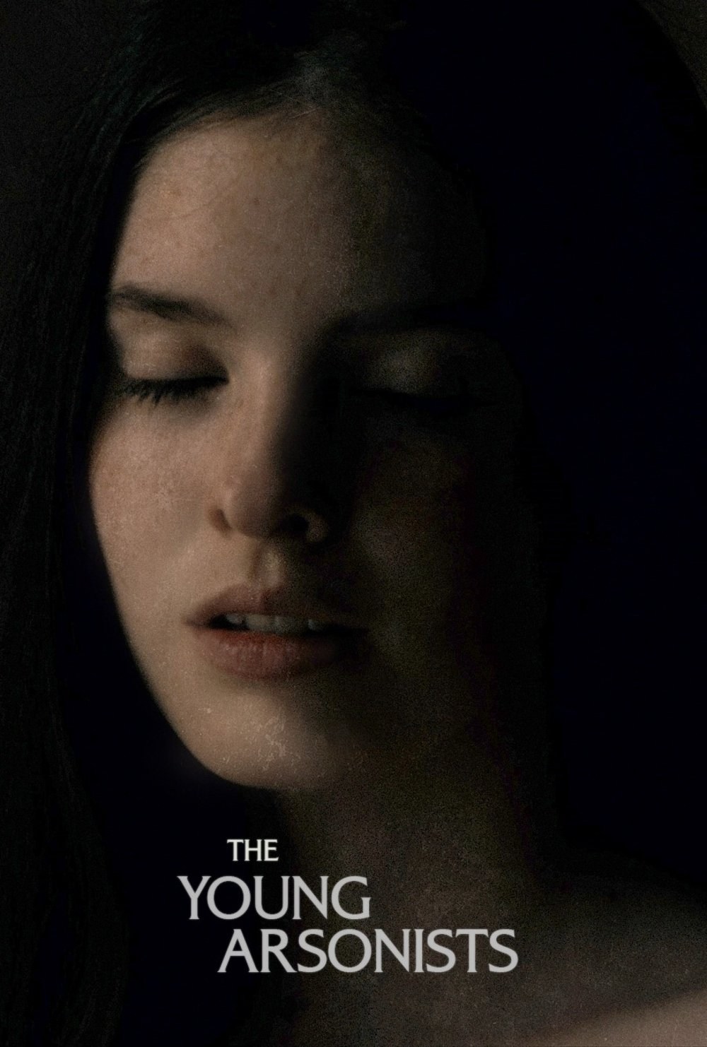 Poster de THE YOUNG ARSONISTS