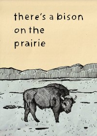There's a Bison on the Prairie