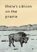 There's a Bison on the Prairie