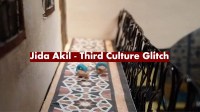 Third Culture Glitch