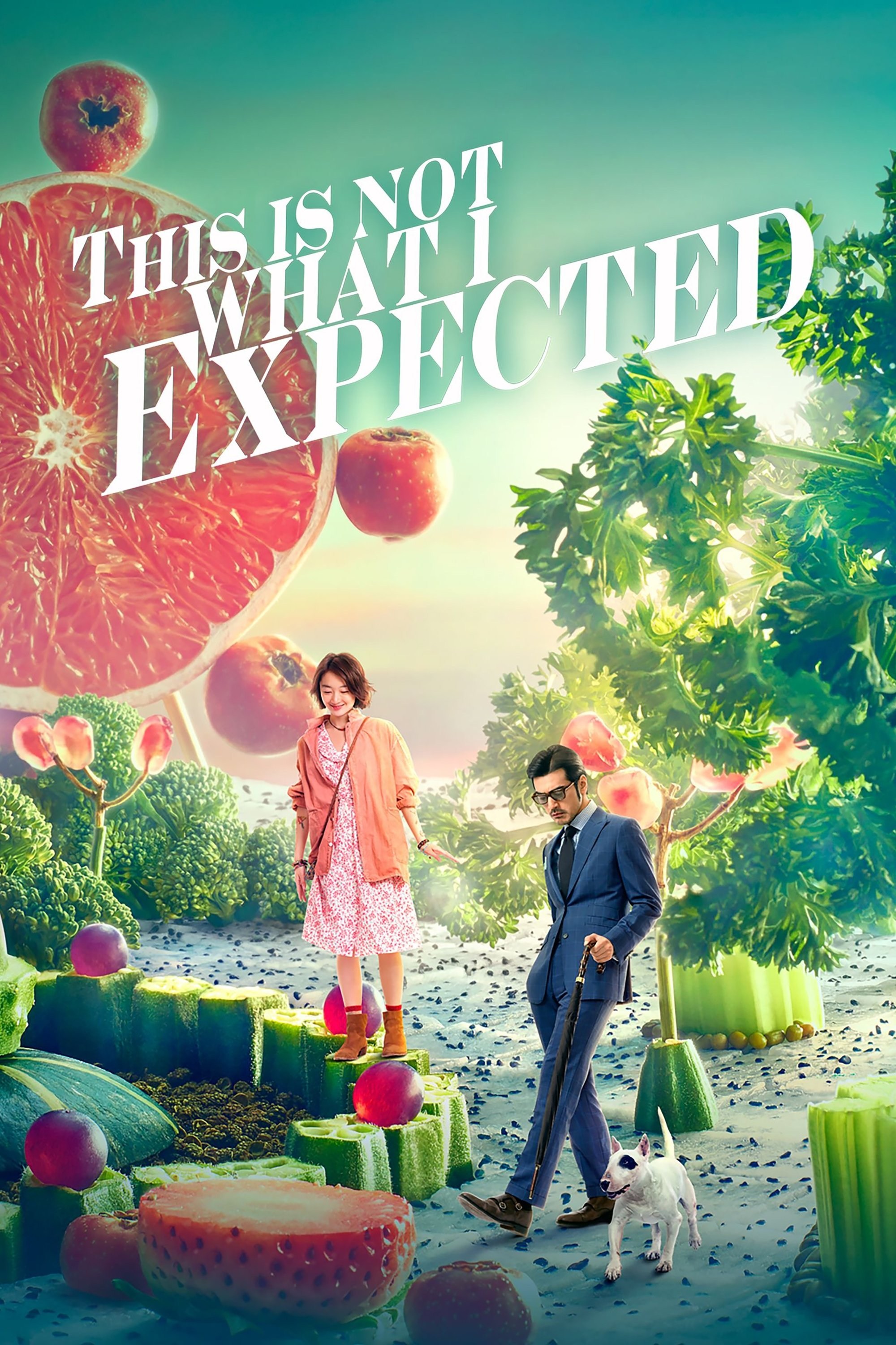 Poster de THIS IS NOT WHAT I EXPECTED en inglés