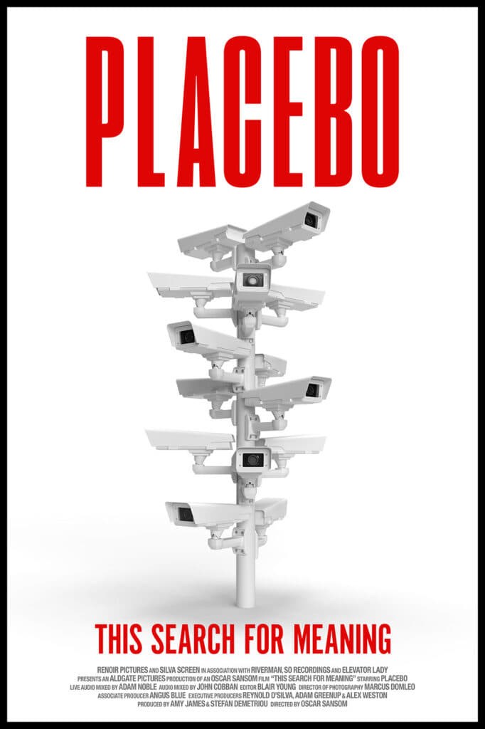 Poster de THIS SEARCH FOR MEANING