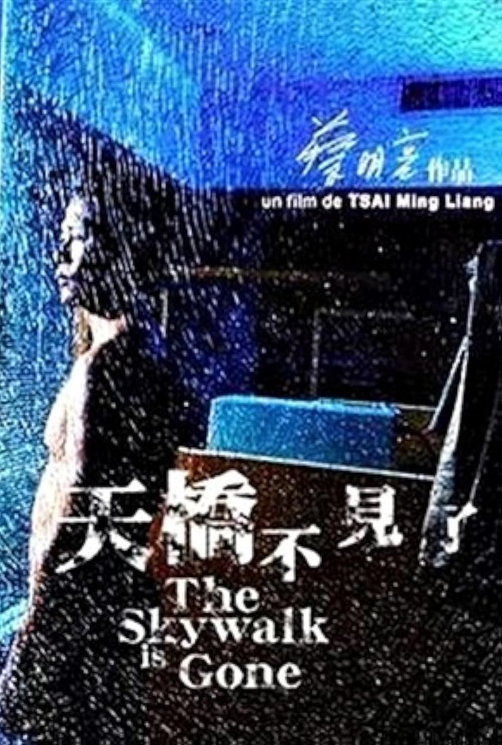 Poster de THE SKYWALK IS GONE