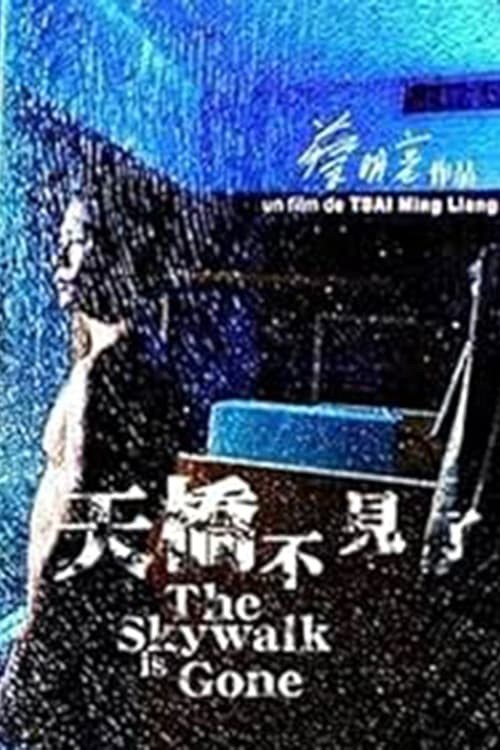 Poster de THE SKYWALK IS GONE en inglés