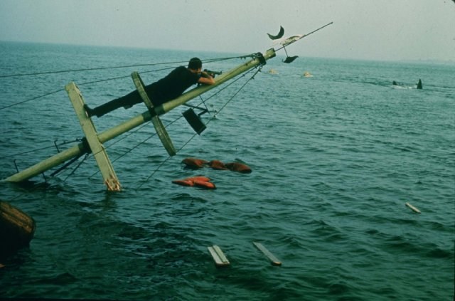 Foto de TIBURÓN