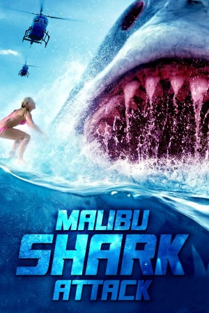 Tiburones en Malibú