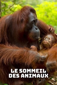 Tierisch müde: Das Rätsel Schlaf