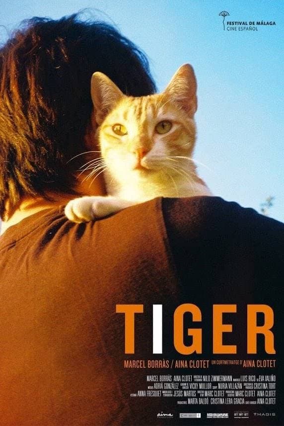 Poster de TIGER