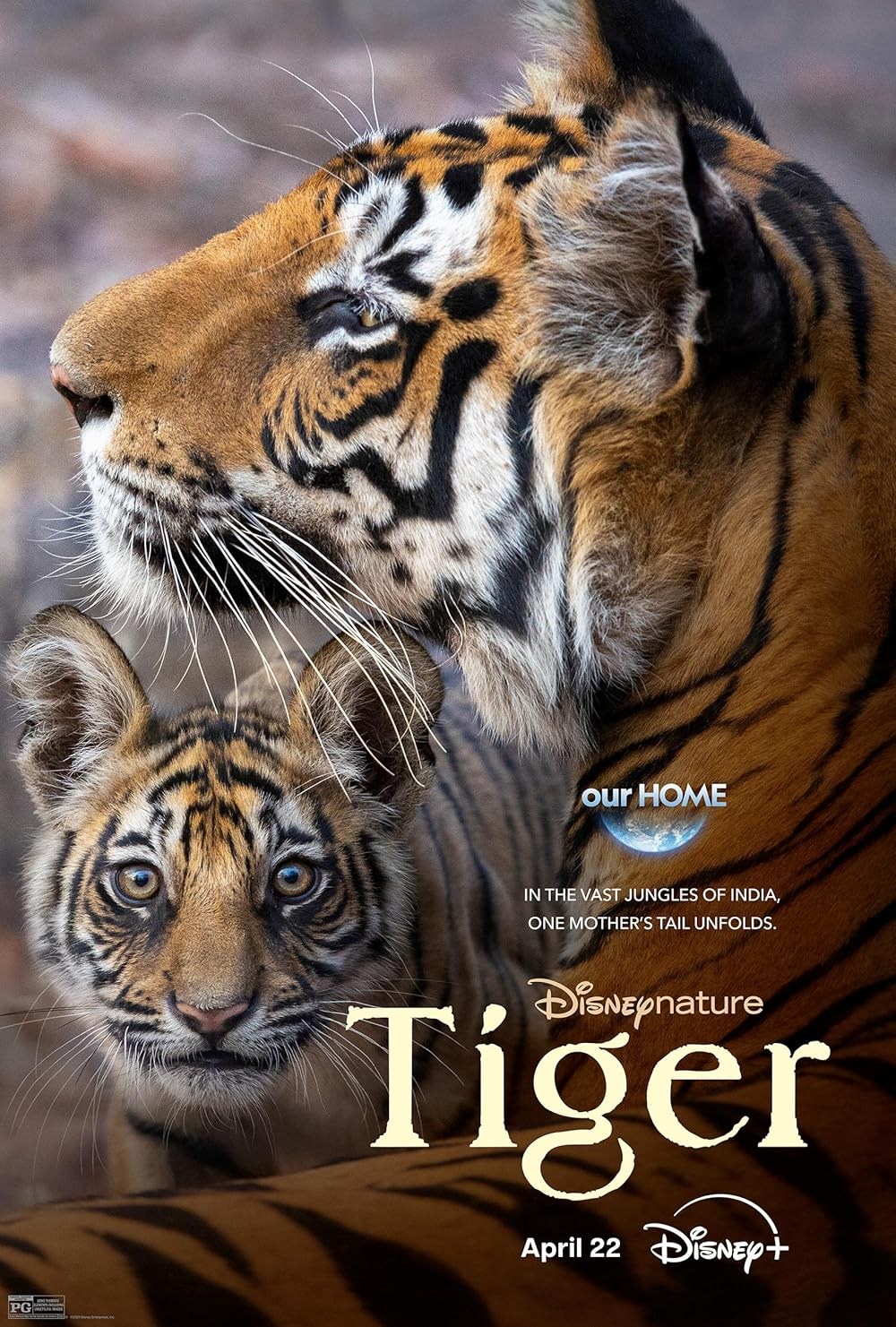 Poster de TIGER