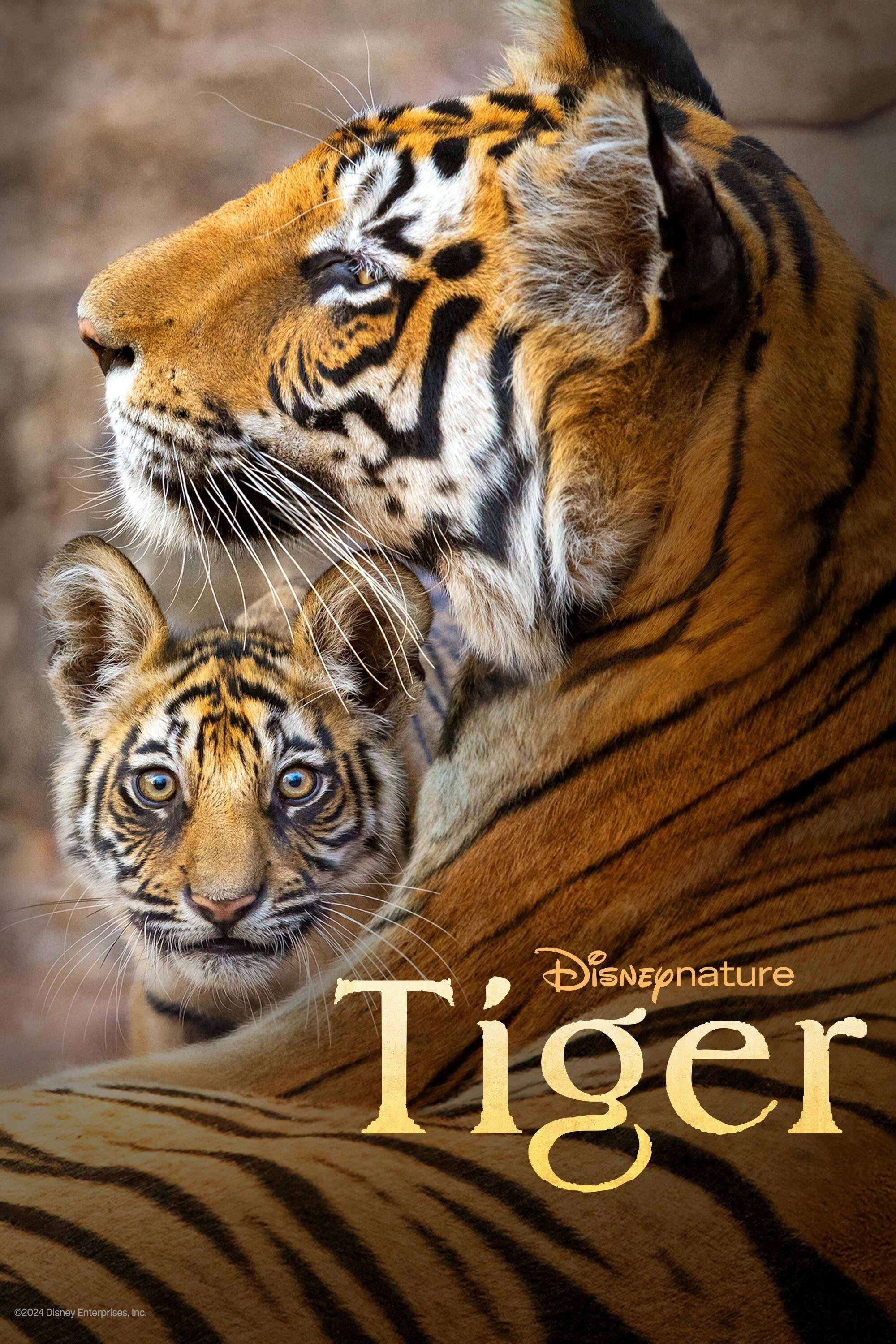 Poster de TIGER en inglés