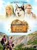 Timber the Treasure Dog