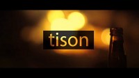 Tison
