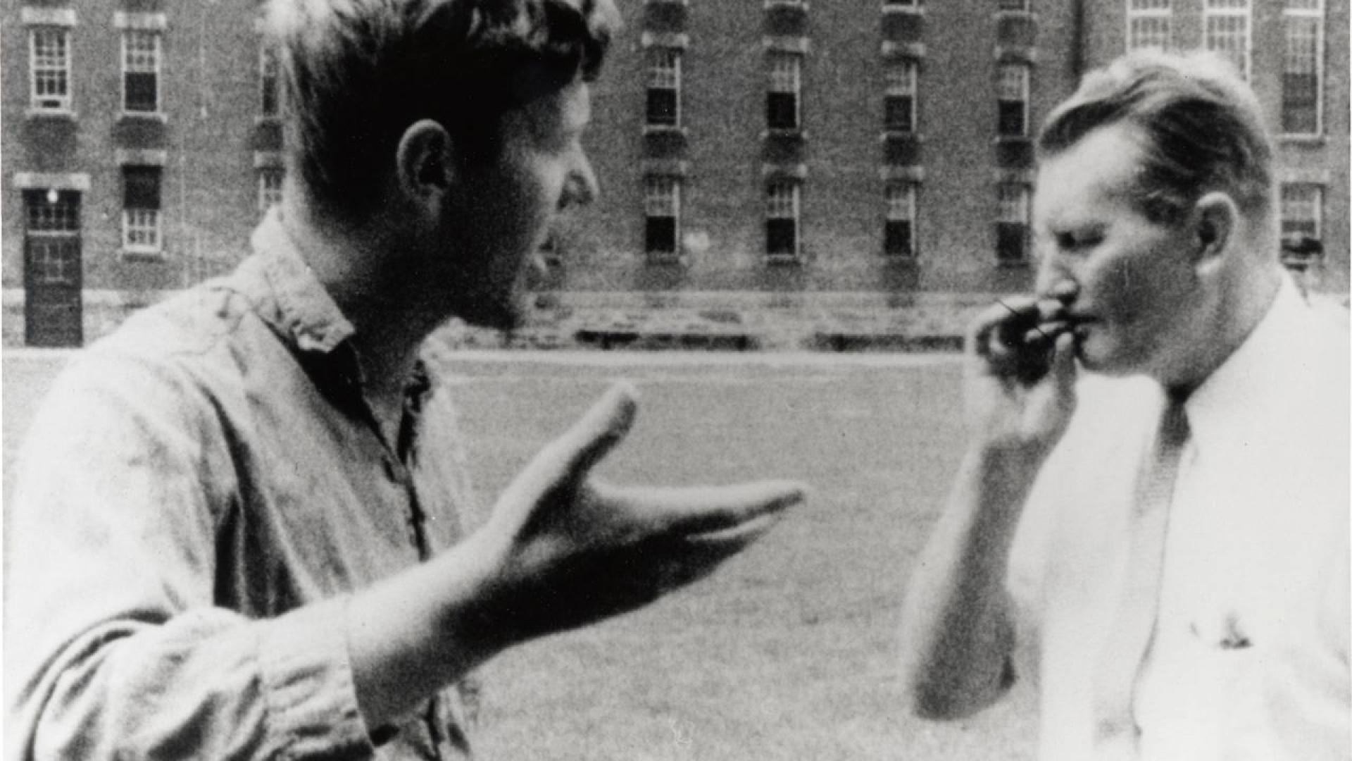 Foto de TITICUT FOLLIES