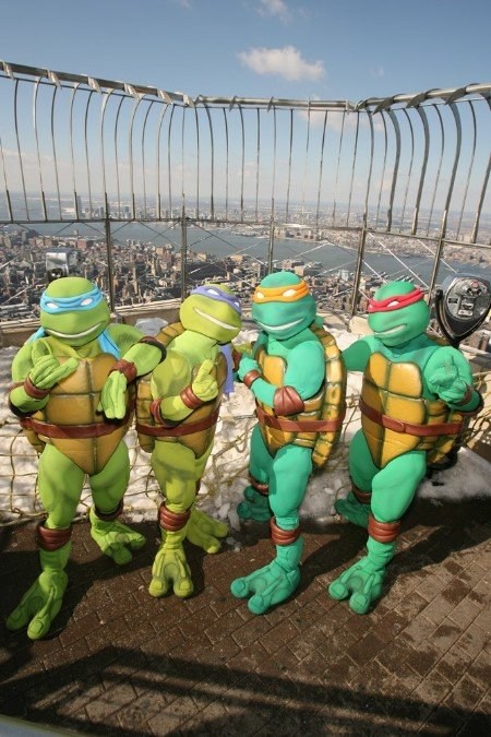 Poster de TMNT - TORTUGAS NINJA JÓVENES MUTANTES