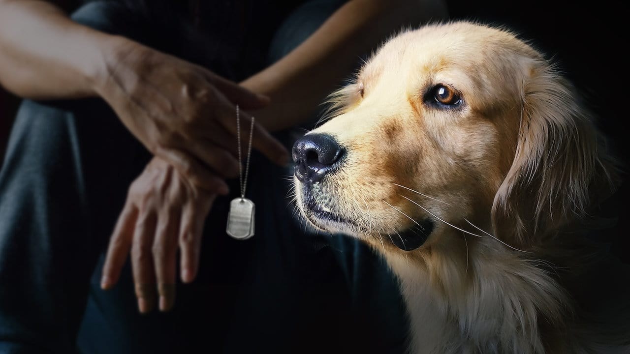 Foto de TO BE OF SERVICE