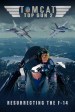 Tomcat: Top Gun 2, Resurrecting the F-14