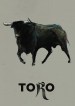 Toro