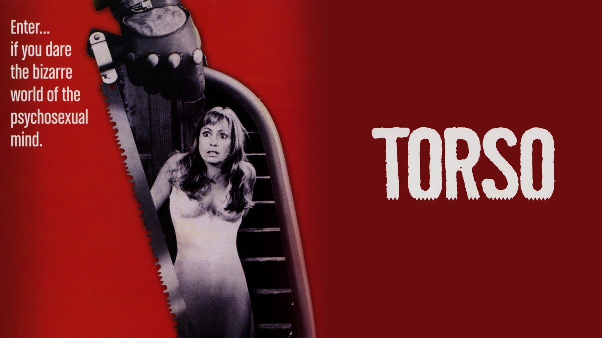 Foto de TORSO - VIOLENCIA CARNAL
