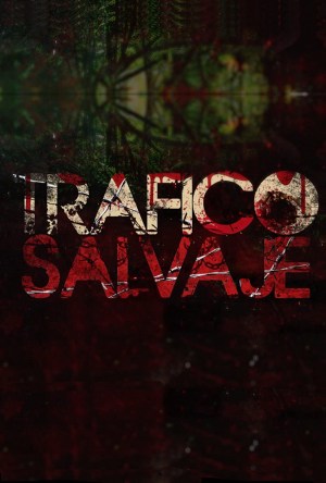 Tráfico Salvaje