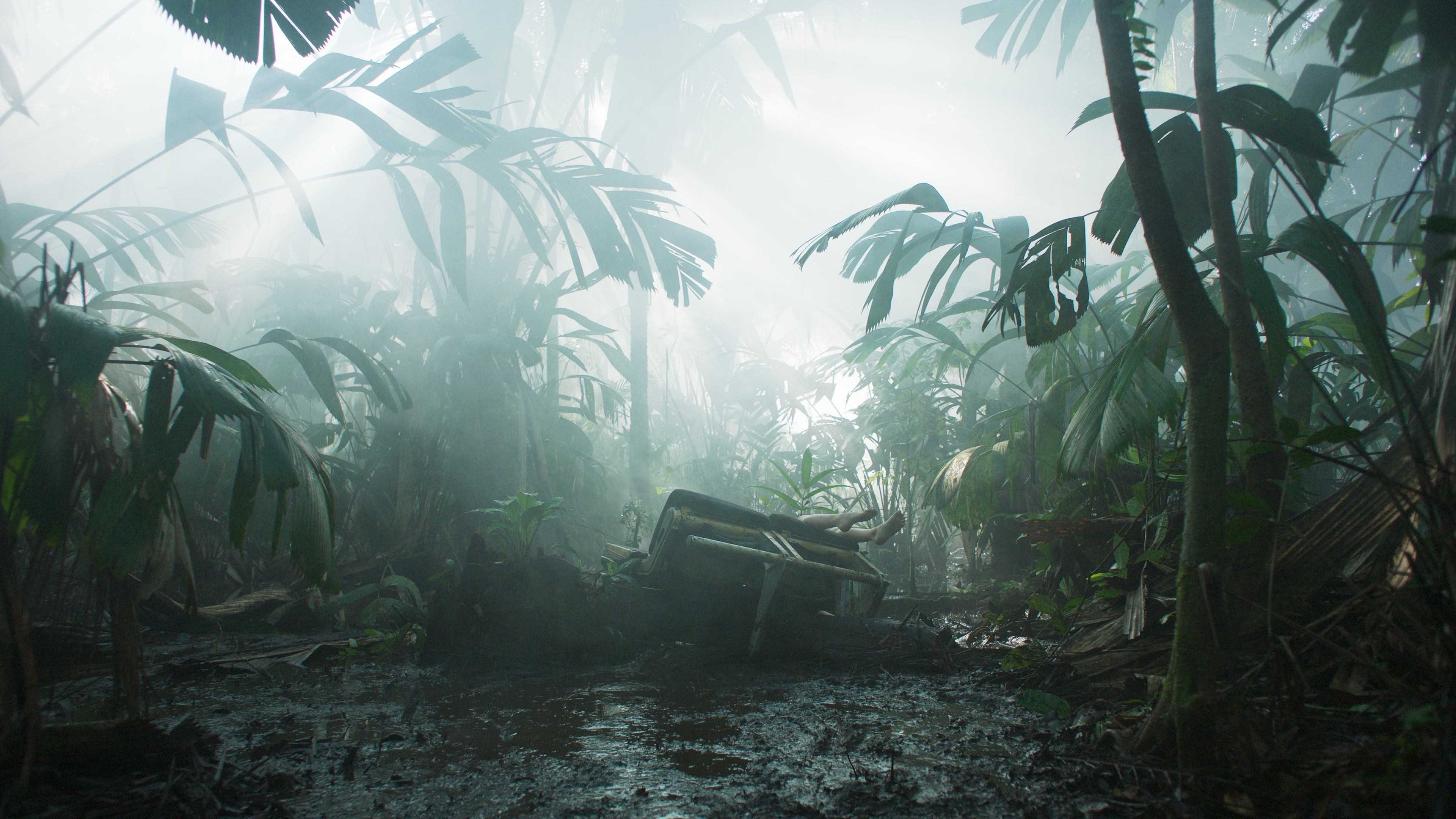 Foto de TRANSAMAZONIA