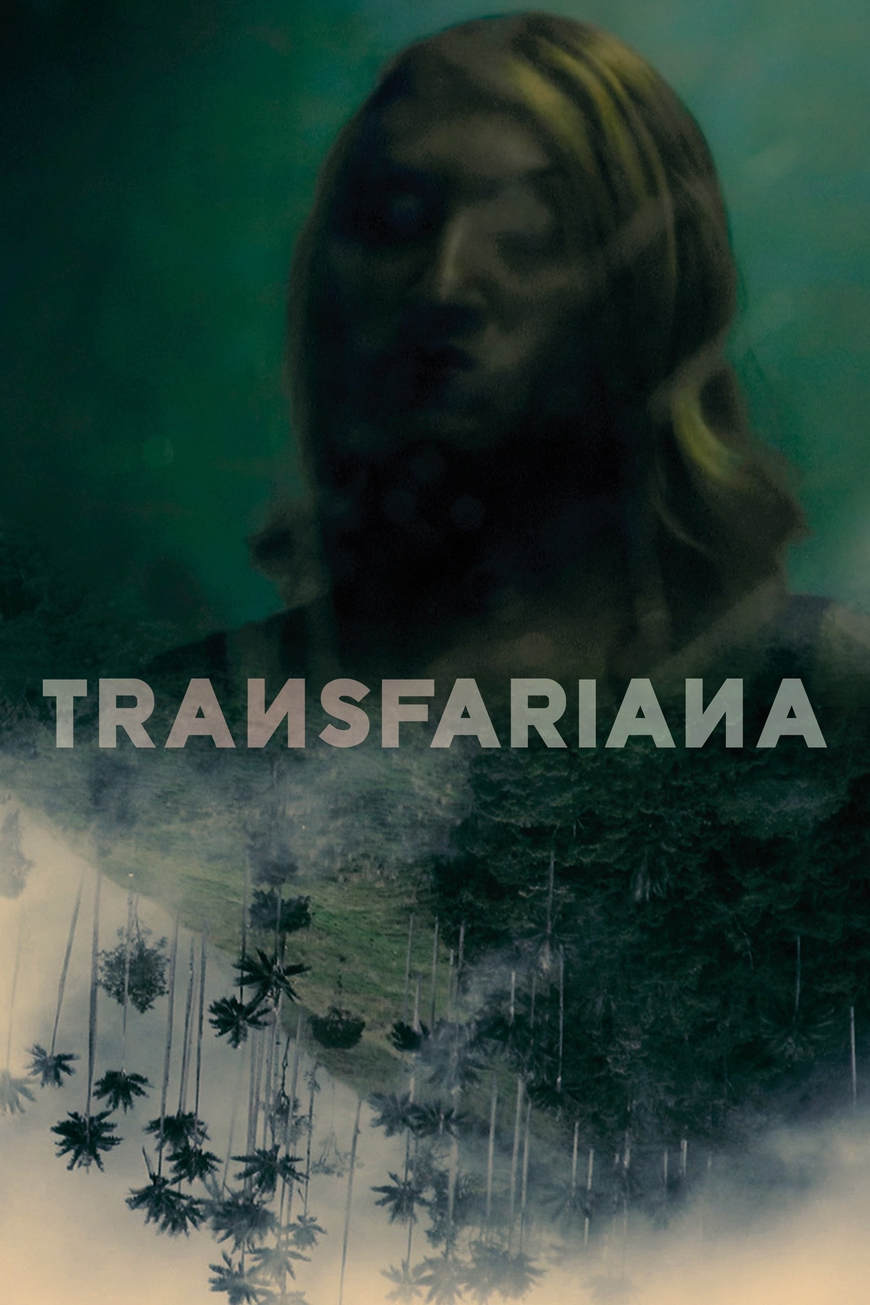 Poster de TRANSFARIANA en inglés