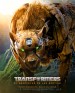 Transformers: El despertar de las bestias