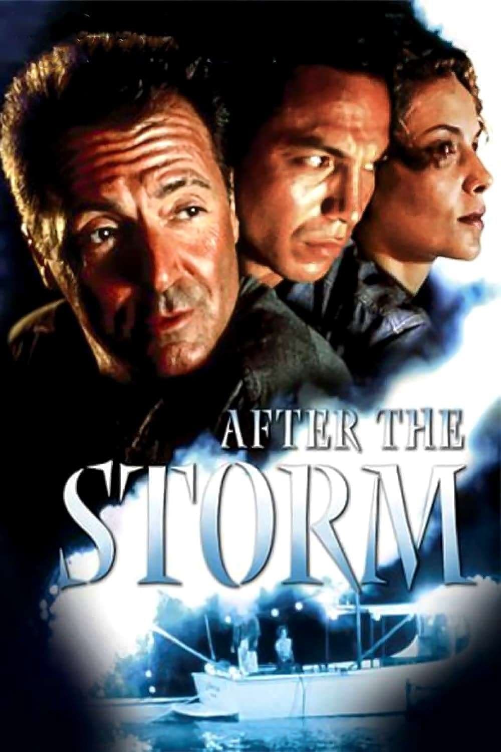 Poster de TRAS LA TORMENTA