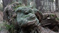 Película Tree Faces