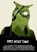 Tree Hole Owl