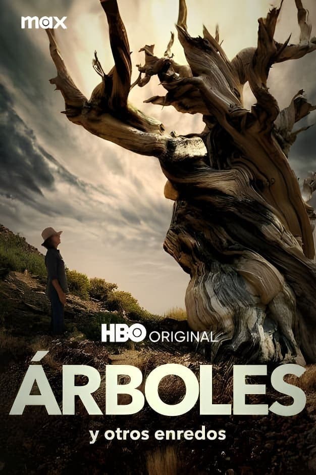 Poster de TREES, AND OTHER ENTANGLEMENTS en español